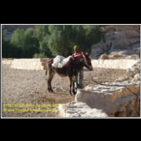 17920 12 013 Petra Jordanien 2011.jpg